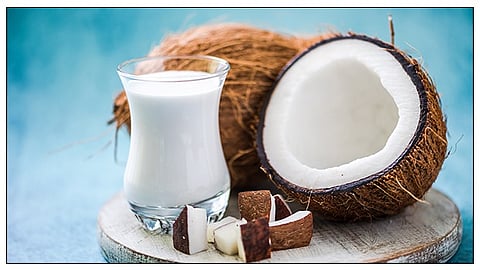 Coconut Milk Benefits 