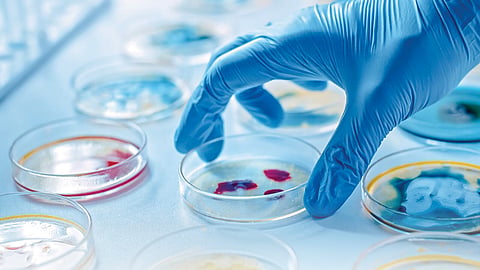Opportunities in Microbiology
