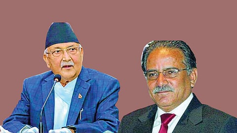 नेपाळ 