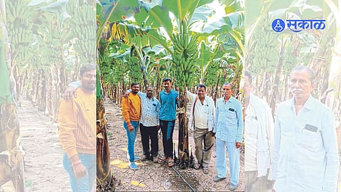 Agriculture news