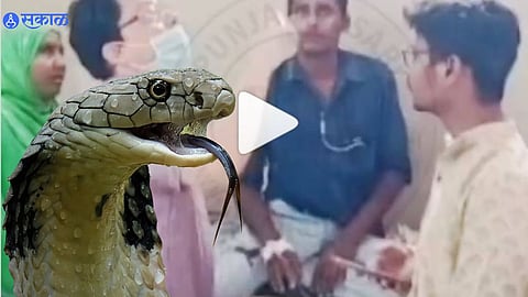 Viral Video
