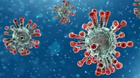 Coronavirus BF.7