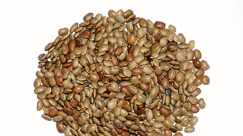Horsegram dal