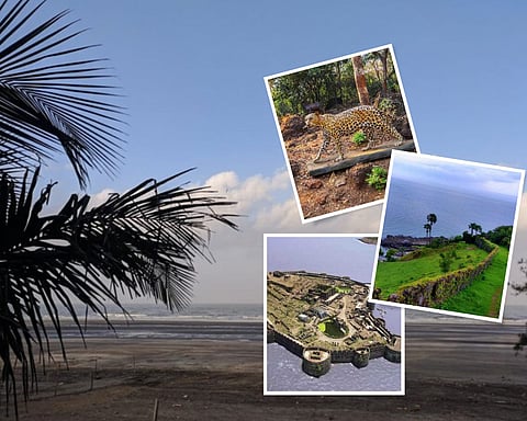 Kashid Beach 