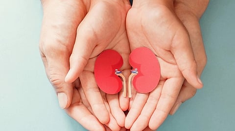 Organ Donation
