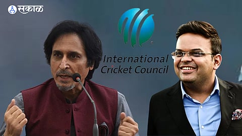 ramiz raja assures icc officials pakistan board pcb no decision taken on boycotting odi world cup in india cricket news  