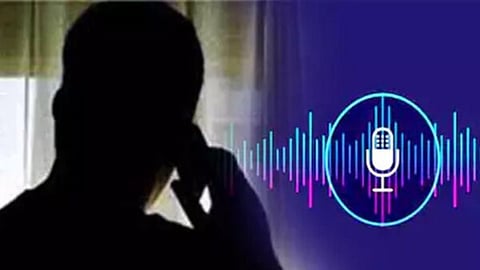 Audio Clip