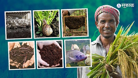 amazing ideas for profitable farming business