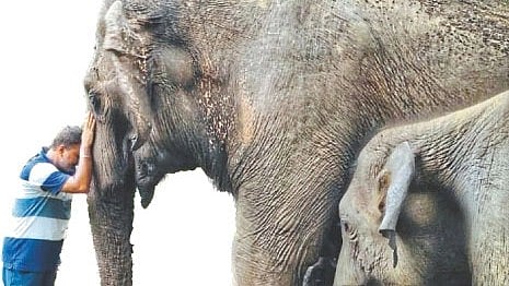 Elephant expert Anand Shinde interact with farmers of 50 elephant affected villages Chandgarh 