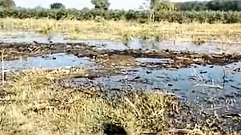 Dokalkheda (T.Pachora): The water of Patchari entered the field of Yogesh Patil in Shivara