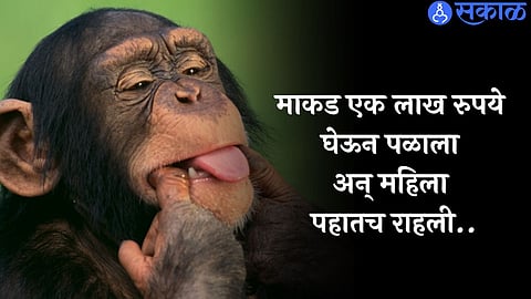 viral news