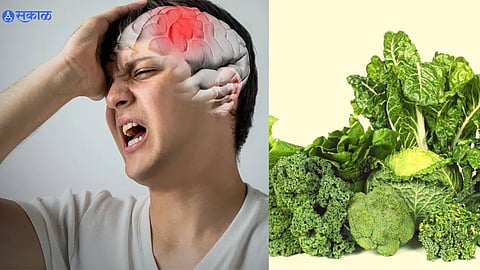 Brain Eating Amoeba