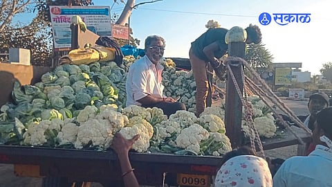 Agriculture News