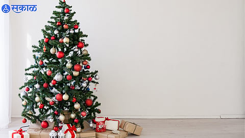 Christmas tree