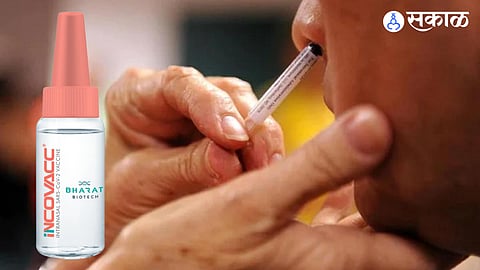 Nasal vaccination