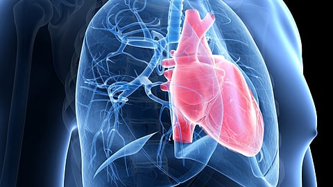 Pulmonary Hypertension