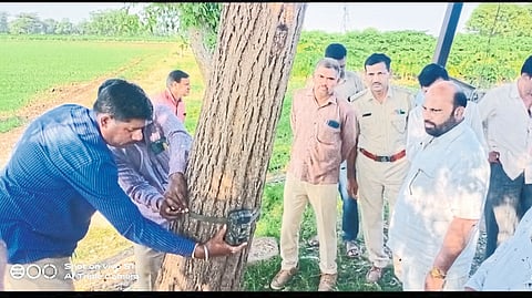 Chimthane:- Forest ranger Kashinath Deore installing night cameras in an area where leopards roam. Ex-Chairman Darbarsinh Girase, Kapil Girase, Jitu Dhangar, Golu Patil and Forest Department staff are nearby