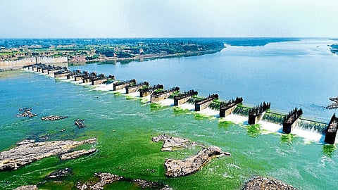 Padalse Project