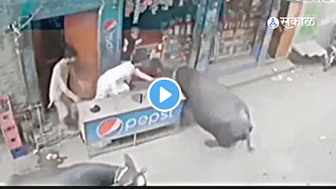 Viral Video