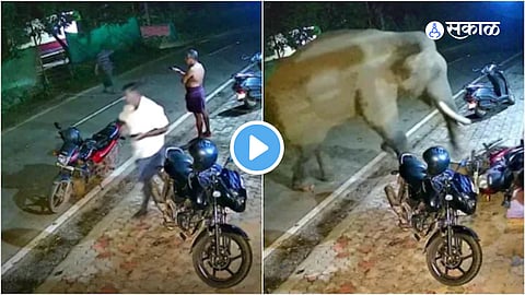 Viral Video