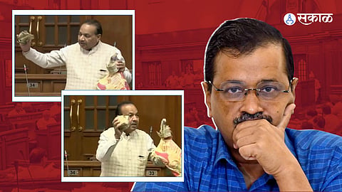 AAP Party News
