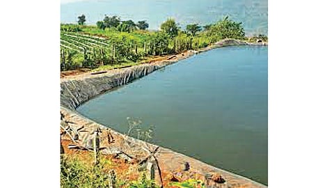 Farm Lake