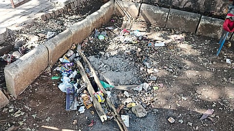 Garbage in a park in Ashwininagar.