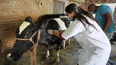 animal husbandry department