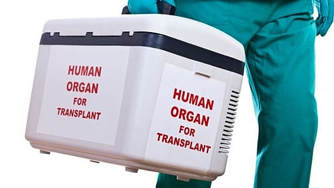Organ Box