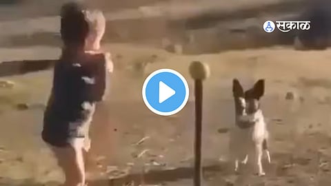 Viral 