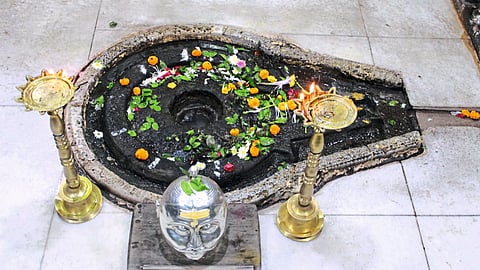 trimbakeshwar shivlinga