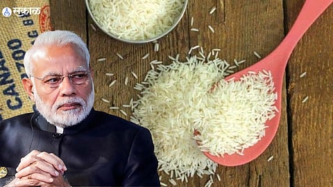 Basmati Rice