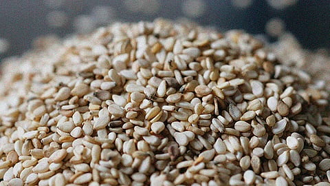 Sesame 