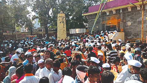 Nashik News 