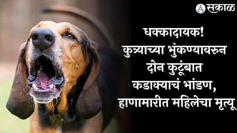 Viral News