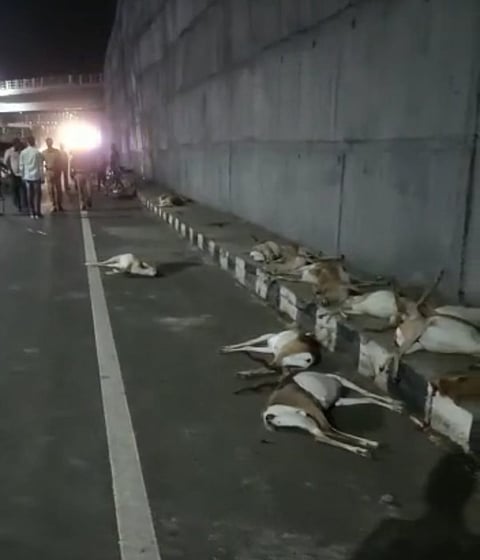 accident