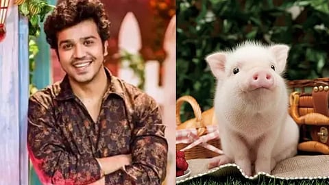 aashay kulkarni, maza hoshil na, victoria movie