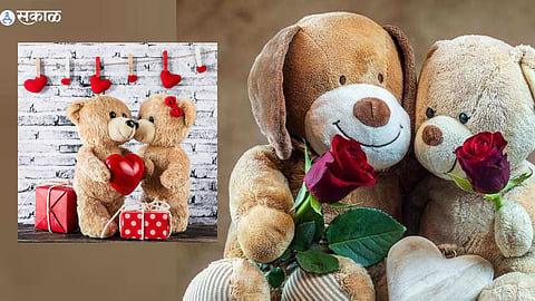 Teddy Bear business plan in Marathi