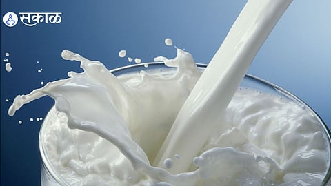 Milk Price