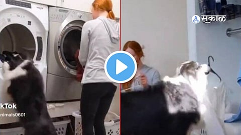 Viral Video