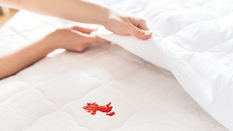 Mattress Cleaning