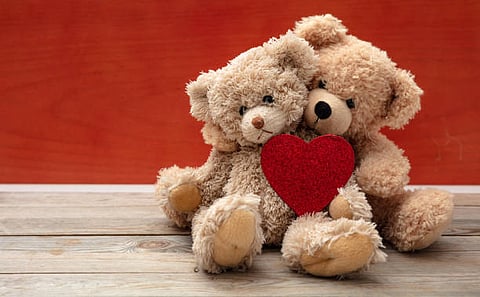 Teddy Day