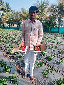 progressive farmer