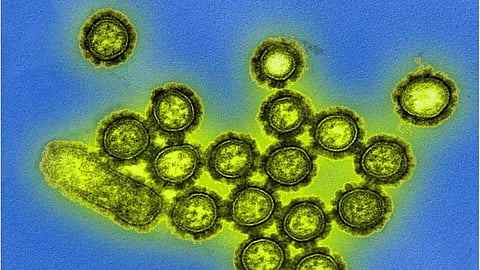 h3n2 influenza 