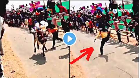 Viral Video