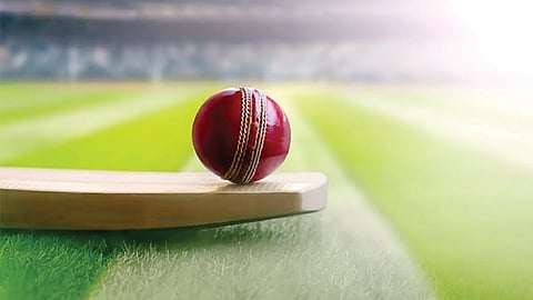 Cricket
