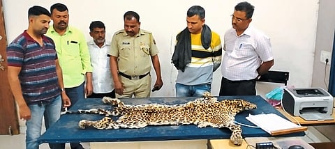 Deola police trap suspect who was selling  leopard skin
