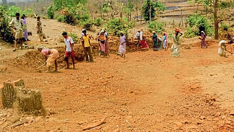 Gram Panchayats 