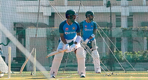 Cricket 