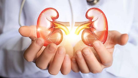 Kidney Health 